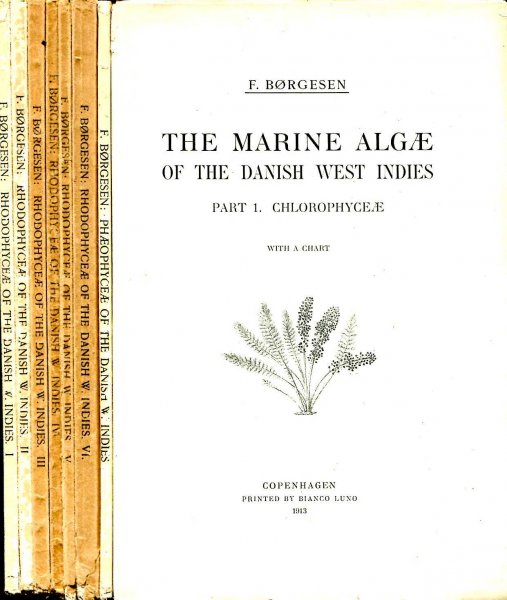 Image for The Marine Algae of the Danish West Indies volume I in two parts : Chlorophyceae & Phaeophyceae & volume 2 in six parts : Rhodophyceae