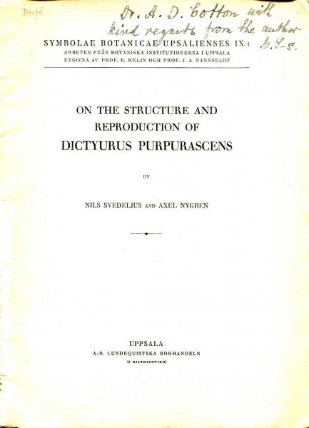 Image for On the Structure and Reproduction of Dictyurus Purpurascens