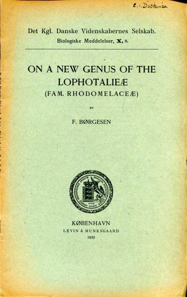 Image for On a New Genus of the Lophotalieae (FAM. Rhodomelaceae), reprinted from the Biologiske Meddelelser X, 8