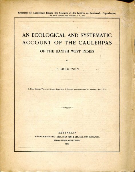 Image for An Ecological and Systematic Account of the Caulerpas of the Danish West Indies