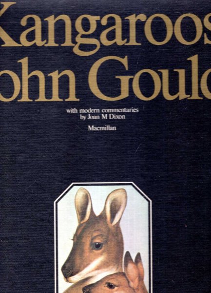 Image for Kangaroos
