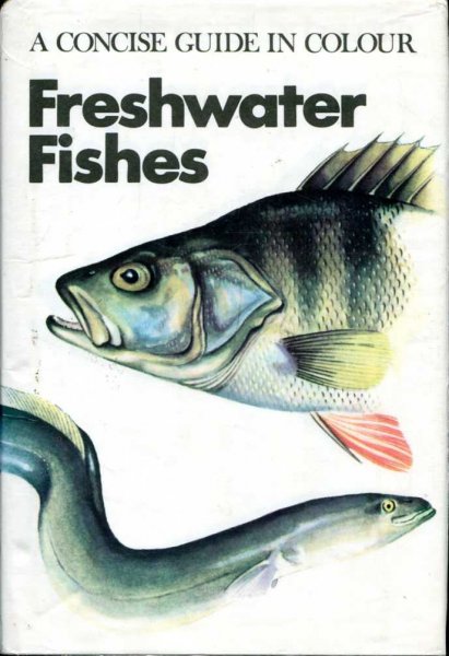 Image for Freshwater Fishes (Concise Guides in Colour)
