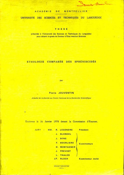Ethologie Comparee Des Spheniscides Image for Ethologie Comparee Des Spheniscides