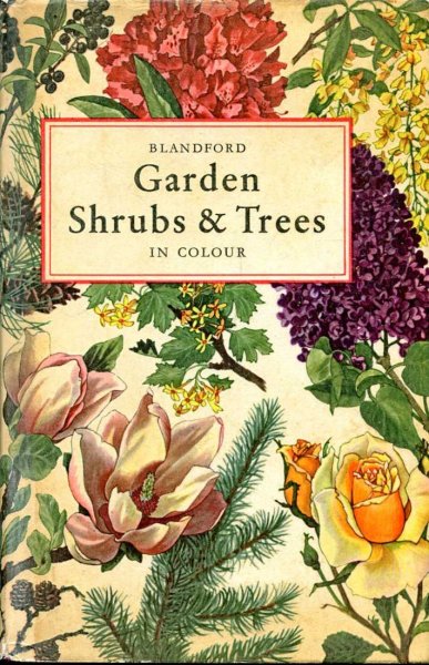 Image for Garden Shrubs and Trees in colour