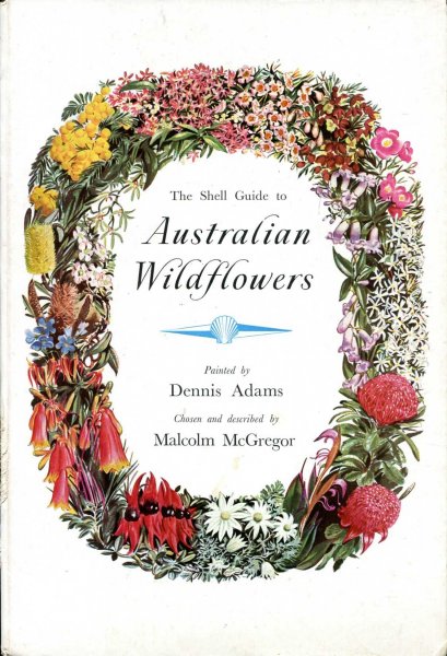 Image for The Shell Guide to Australian Wildflowers