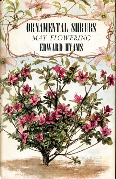 Image for Ornamental Shrubs for Temperate Zone Gardens May Flowering