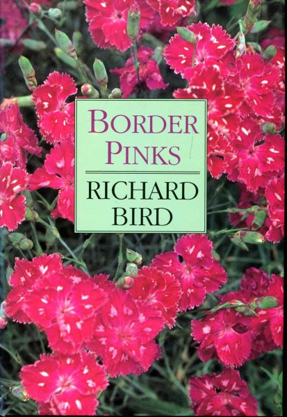 Image for Border Pinks