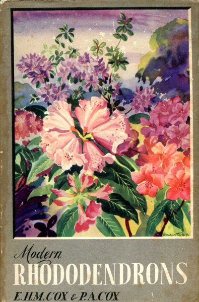 Image for Modern Rhododendrons
