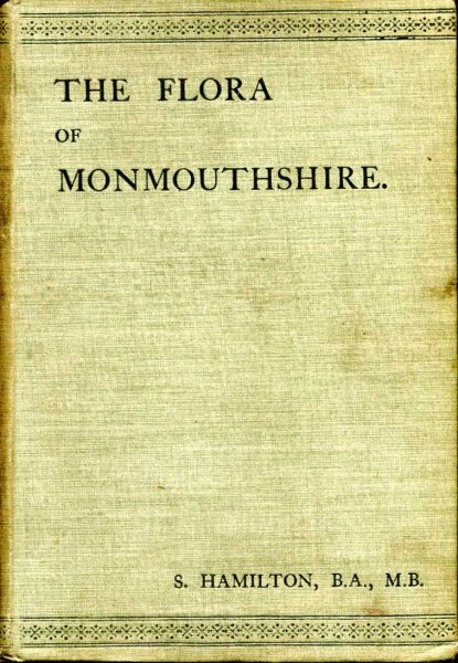 Image for The Flora of Monmouthshire Being A Catalogue of all the Flowering Plants known to be native to the County...with A List of Ferns