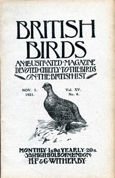 Image for British Birds An Illustrated Magazine devoted chiefly to the birds on the British List, volume XV, No 6, November 1 1921