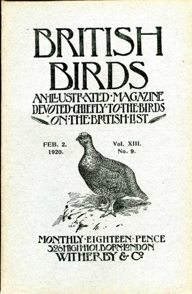 Image for British Birds An Illustrated Magazine devoted chiefly to the birds on the British List, volume XIII No 9, February 2, 1920