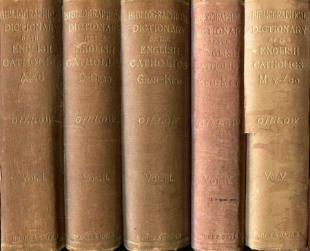 Image for A Literary and Biographical Dictionary of the English Catholics from The Breach with Rome in 1534, to the present time (five volumes complete)
