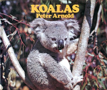 Image for Koalas