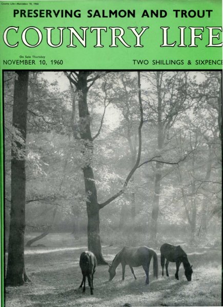 Image for Country Life volume CXXVIII No 3323, November 10 1960