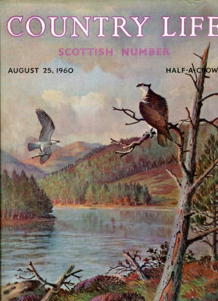 Image for Country Life volume CXXVIII No 3312, August 25 1960 : Scottish Number