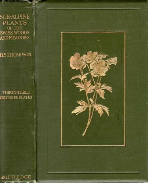 Sub-Alpine Plants or Flowers of the Swiss Woods and Meadows Image for Sub-Alpine Plants or Flowers of the Swiss Woods and Meadows
