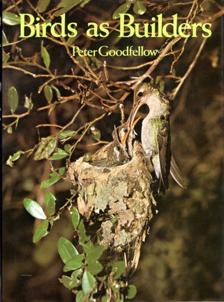 Image for Birds as Builders