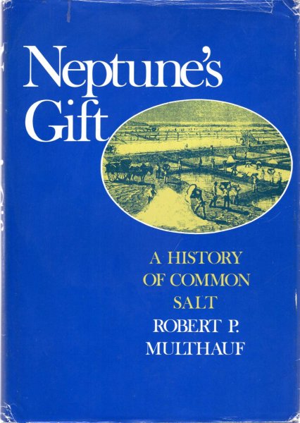Image for Neptune's Gift : A History of Common Salt