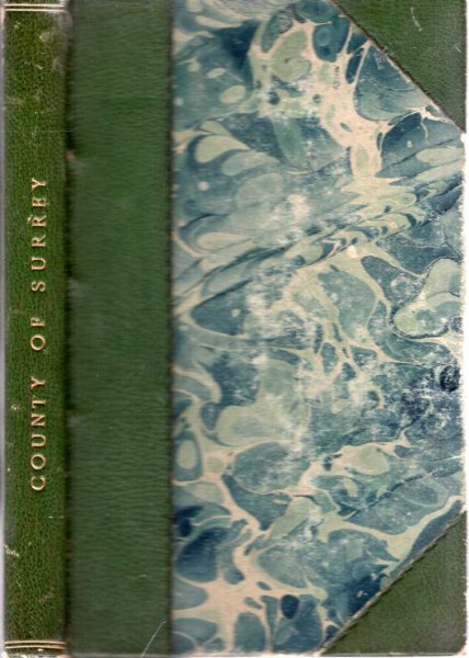 Image for A Topographical and Statistical Description of the County of Surrey