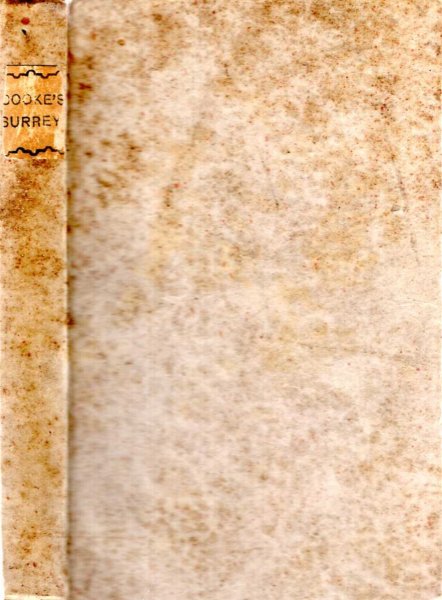 Image for A Topographical and Statistical Description of the County of Surrey