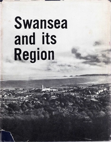 Image for Swansea and its Region