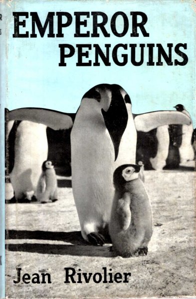 Emperor Penguins Image for Emperor Penguins