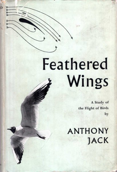 Image for Feathered Wings - a study of the flight of birds