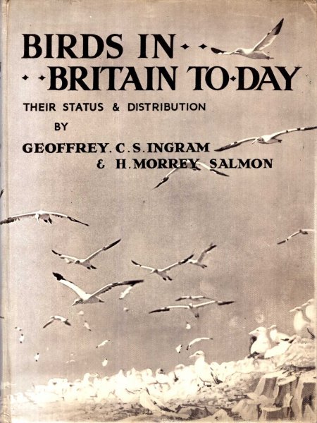 Image for Birds in Britain To-Day