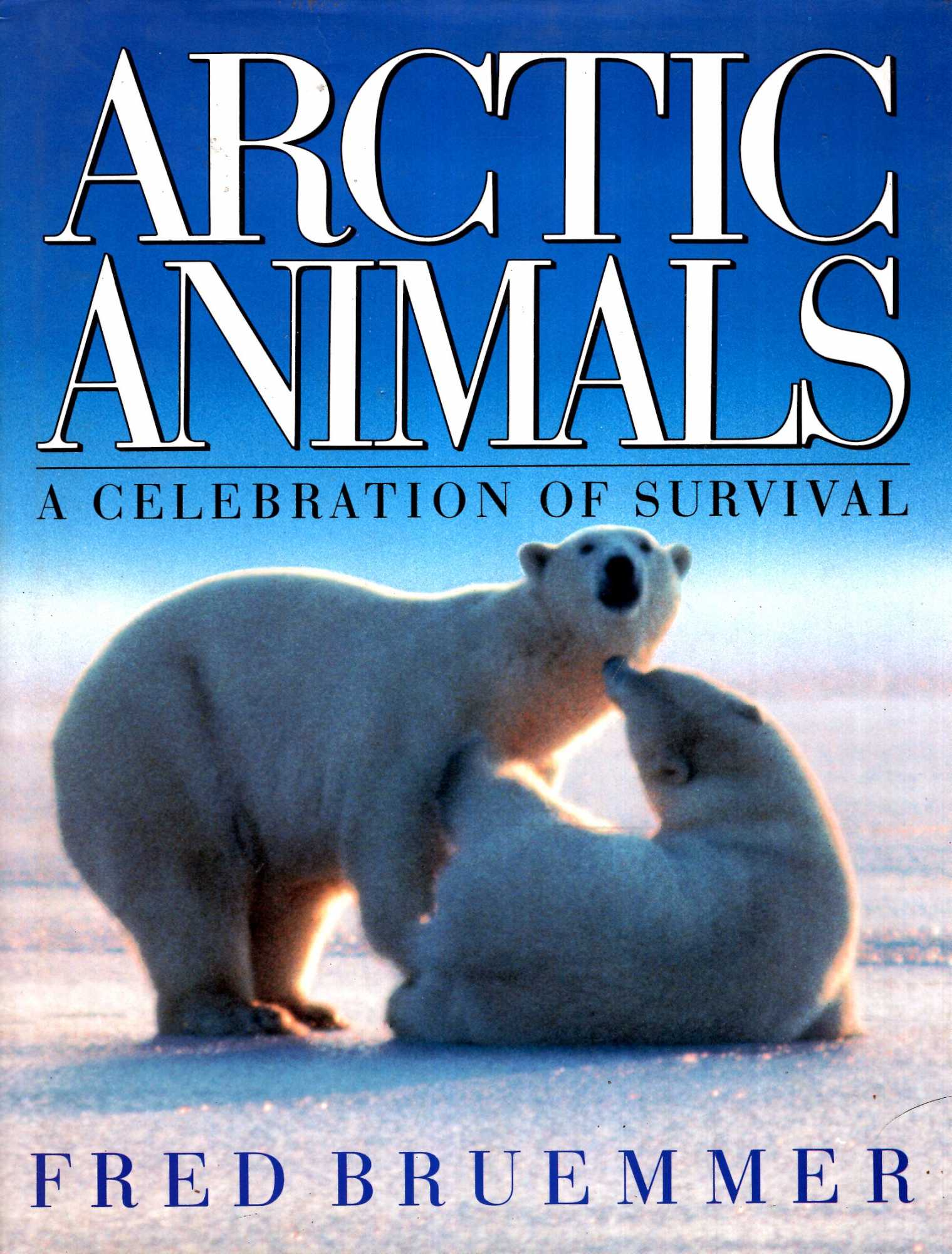 送込★FIELD GUIDE TO THE ANIMALS OF BRITAIN 285980.jpg