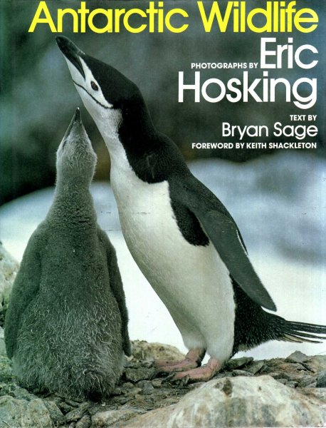 Image for Antarctic Wildlife