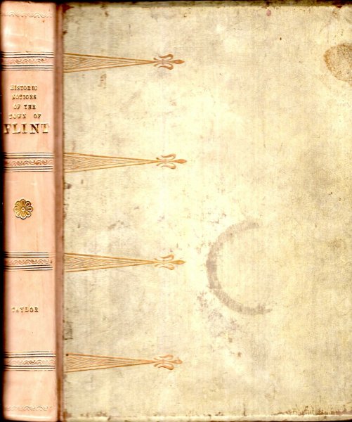 Image for Historic Notes with Topographical and Other Gleanings descriptive of the Borough and County-Town of Flint