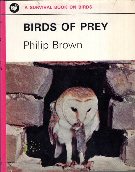 Image for Birds of Prey