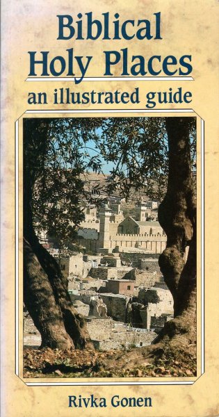 Image for Biblical Holy Palces : an illustrated guide