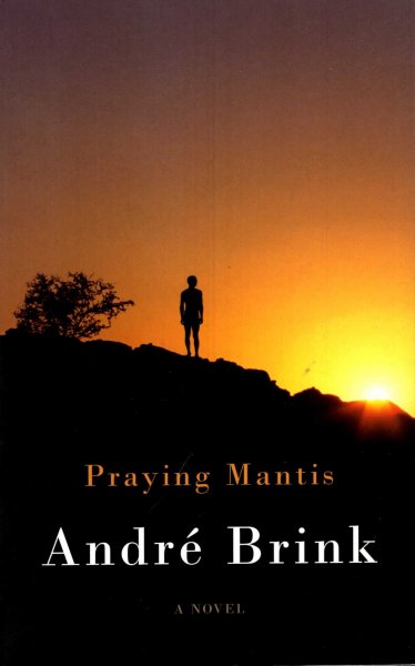 Image for Praying Mantis, a novel