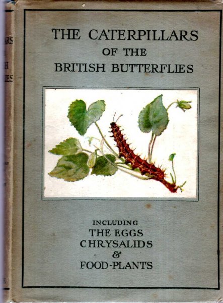 Image for The Caterpillars of the British Butterflies including their eggs, chrysalids and food-plants