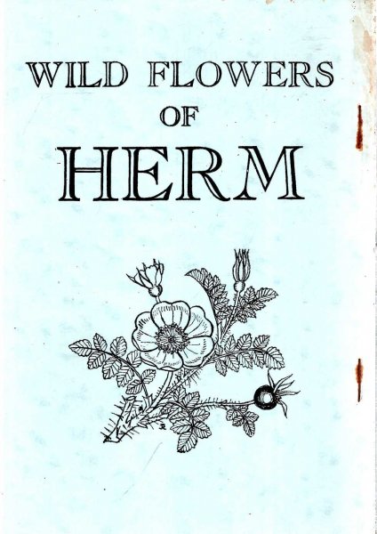 Image for Wild Flowers of Herm : A check list of the flowering plants and ferns wild on Herm and its off-islets [reprinted from Report & Transactions)