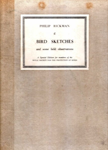Image for Bird Sketches and Some Field Observations
