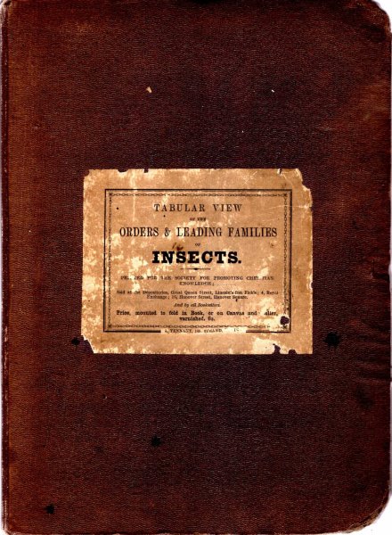 Image for Tabular View of the Orders & Leading Families of Insects