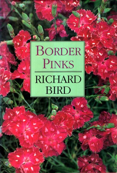 Image for Border Pinks