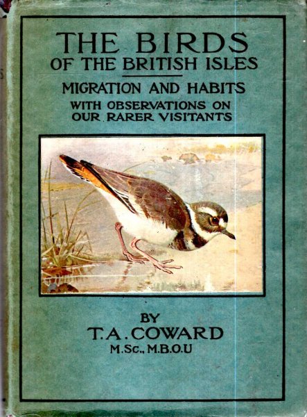 Image for The Birds of the British Isles, Third Series, comprising Their Migration and Habits and on our obersvations on our rarer visitants