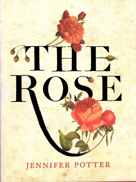 Image for The Rose : An Illustrated History (Limited edition)