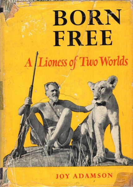 Born Free, a Lioness of two worlds Image for Born Free, a Lioness of two worlds
