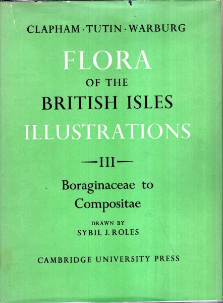 Image for Flora of the Brirtish Isles Illustrations : four volumes complete