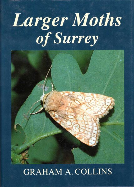Image for Larger Moths of Surrey