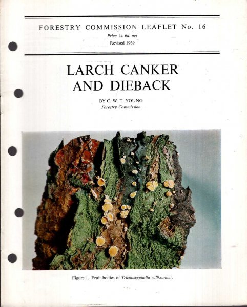 Image for Forestry Commission Leaflet No 16 : Larch Canker and Dieback