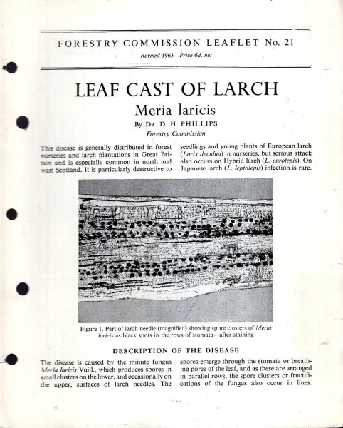 Image for Forestry Commission Leaflet No21 : Leaf Cast of Larch Meria laricis
