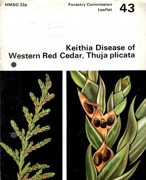 Image for Forestry Commission Leaflet No 43 : Keithia Disease of Western Red Cedar, Thuja plicata