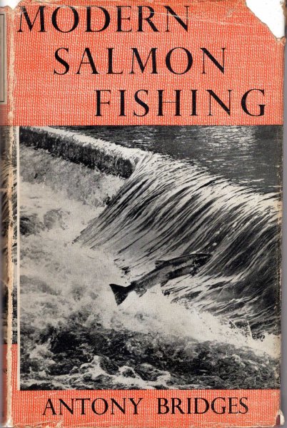 Image for Modern Salmon Fishing