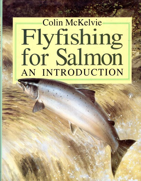 Image for Fly Fishing for Salmon : An Introduction