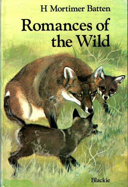 Image for Romances of the Wild